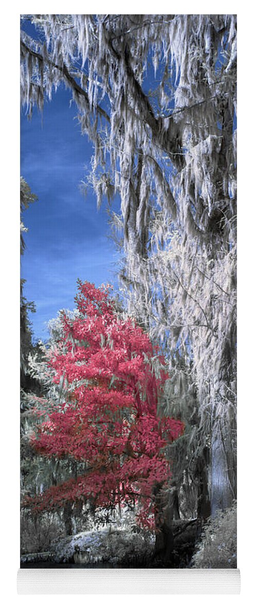 Garden Yoga Mat featuring the photograph Magnolia Plantation in Red by Jon Glaser