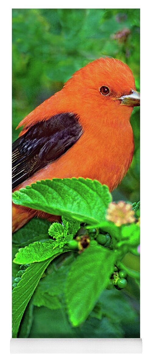 Dave Welling Yoga Mat featuring the photograph Male Scarlet Tanager On Texas Lantana by Dave Welling