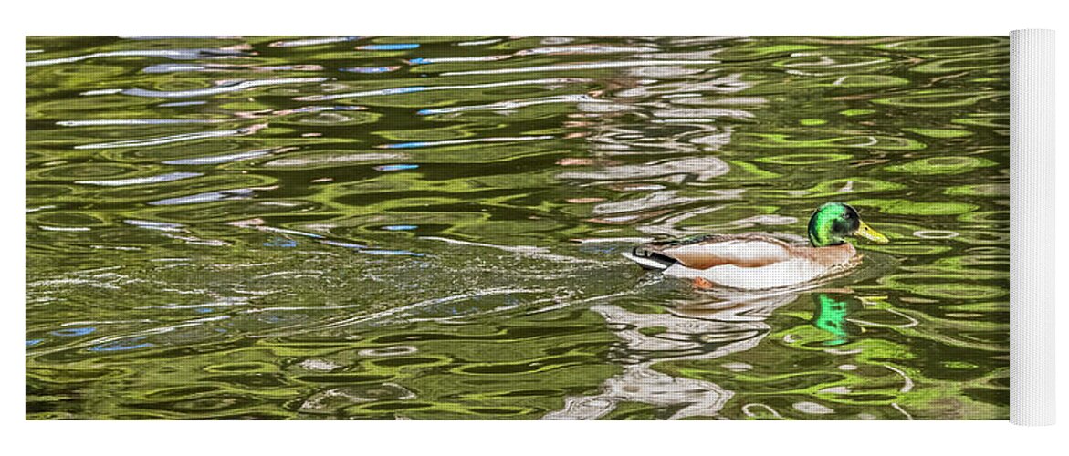 Mallard Yoga Mat featuring the photograph Mallard Reflected with Boat by Kate Brown