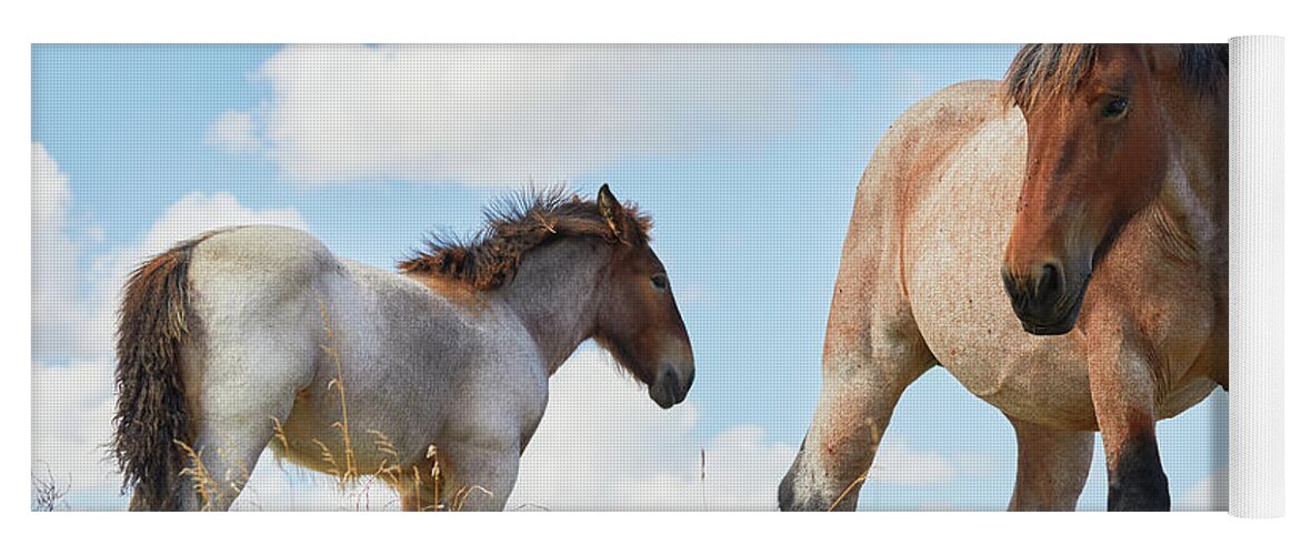 Animal Yoga Mat featuring the photograph Mare with foal close together by Nick Biemans