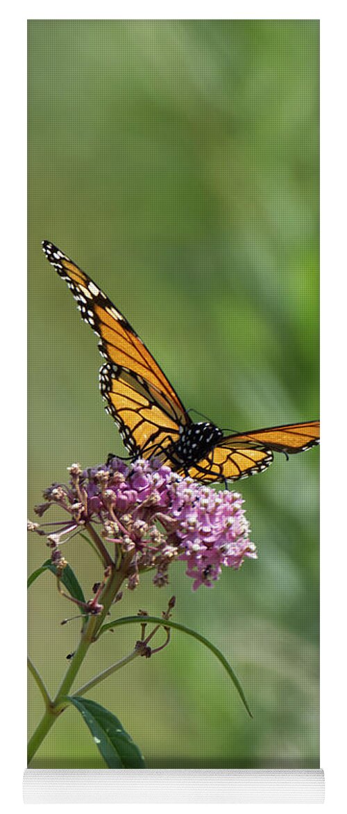 Monarch Yoga Mat featuring the photograph Monarch Butterfly by Deborah Ritch