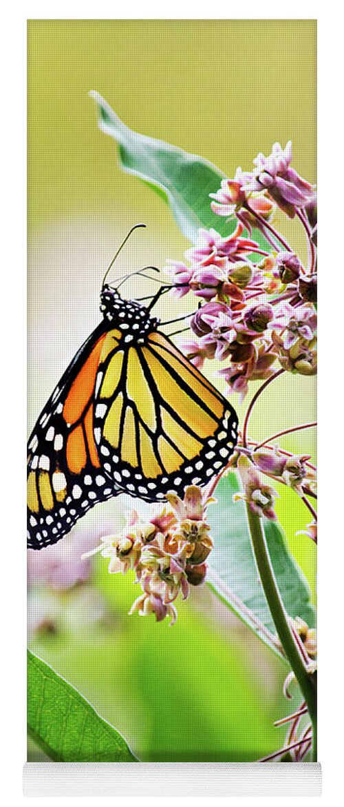 Monarch Butterfly Yoga Mat featuring the photograph Monarch Butterfly on Milkweed by Christina Rollo