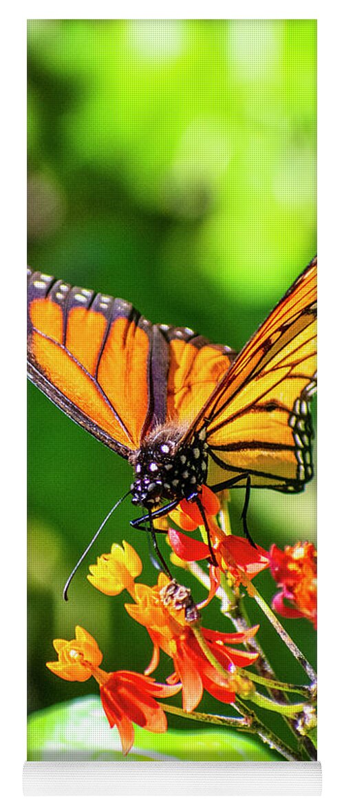 Butterfly Yoga Mat featuring the digital art Monarch Butterfly Two by Anthony Ellis