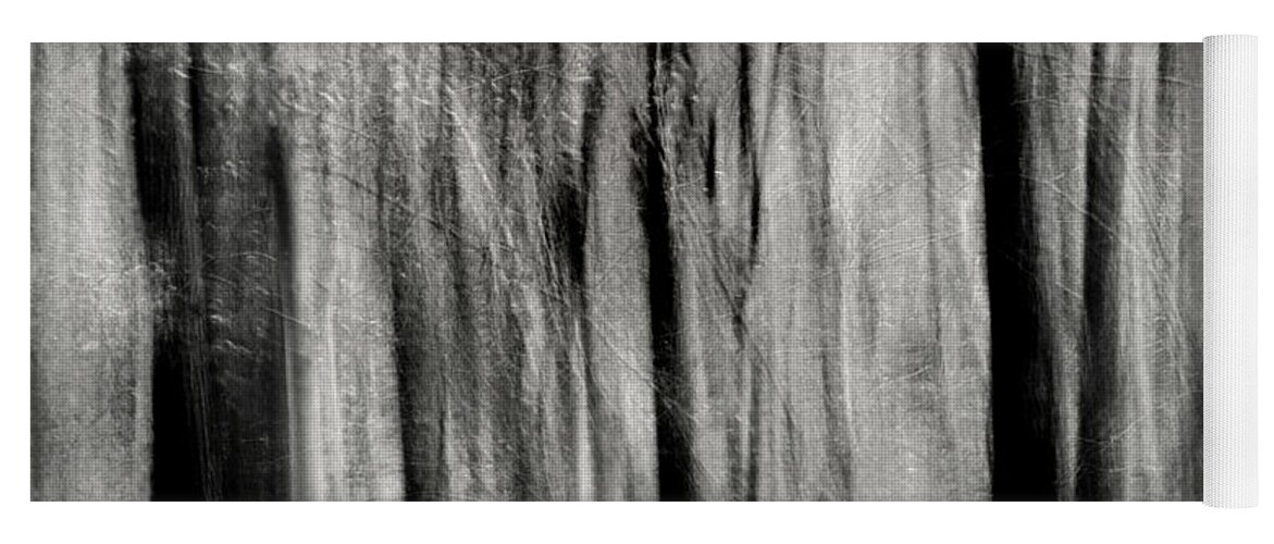 Forest Yoga Mat featuring the photograph Monochrome Forest Swipe by Don Johnson