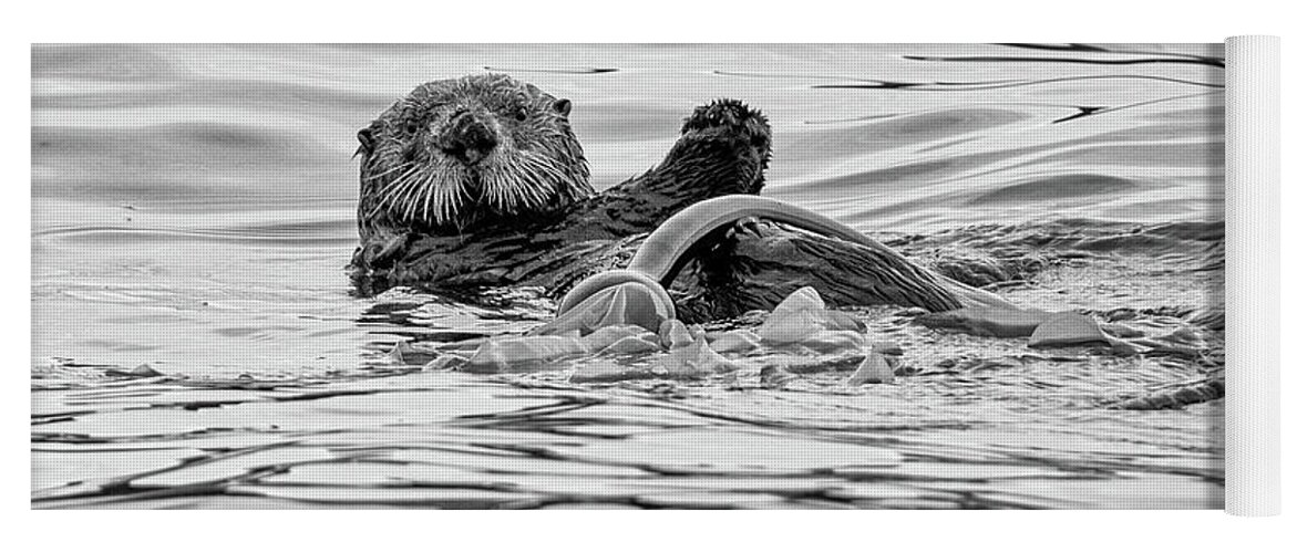 Sea Otter Yoga Mat featuring the photograph Monochrome Sea Otter by Mark Hunter