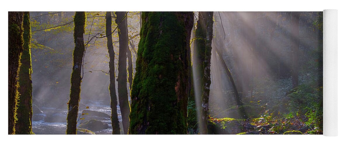 Fall Colors And Waterfall Yoga Mat featuring the photograph Morning Rays by Johnny Boyd