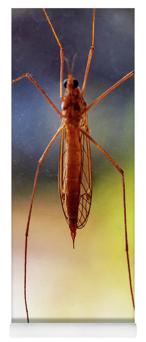 Mosquito Yoga Mat featuring the photograph Mosquito by Lonnie Paulson