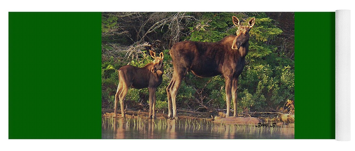 Moose Yoga Mat featuring the photograph Mother and Child by Bearj B Photo Art