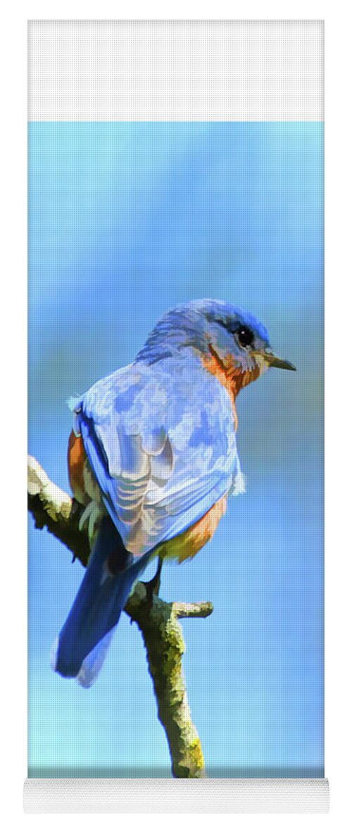 Bluebird Yoga Mat featuring the photograph Mr Bluebird - Male Bluebird Art by Kerri Farley