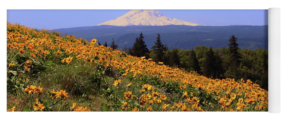 Oak Tree Yoga Mat featuring the photograph Mt. Hood, Rowena Crest by Jeanette French