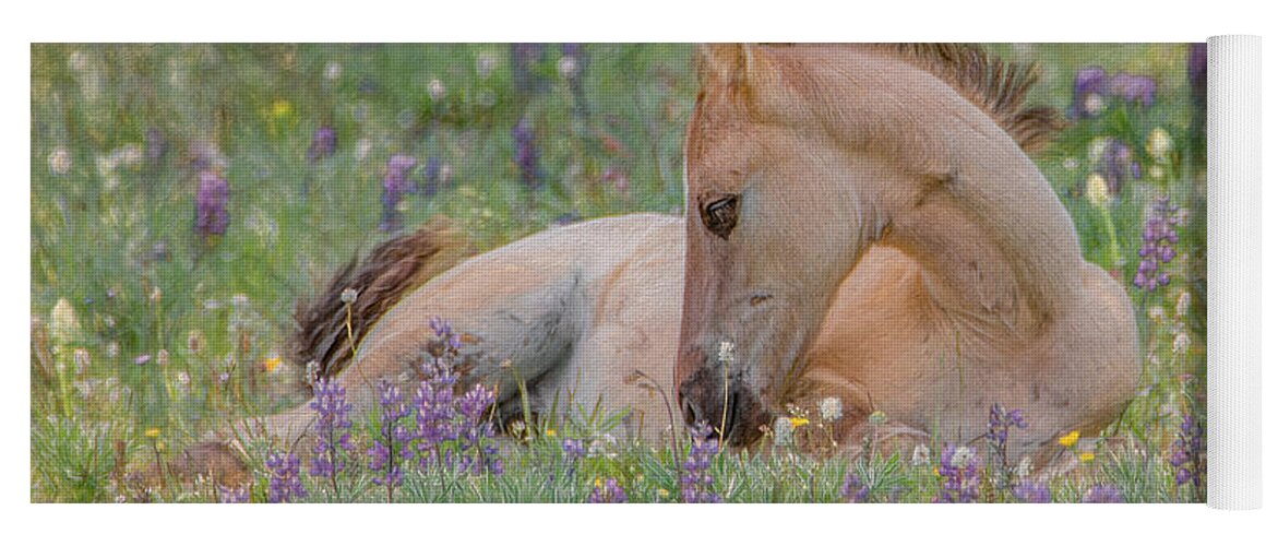 Wild Mustangs Yoga Mat featuring the photograph Wild Mustang Foal in the Wildflowers by Marcy Wielfaert