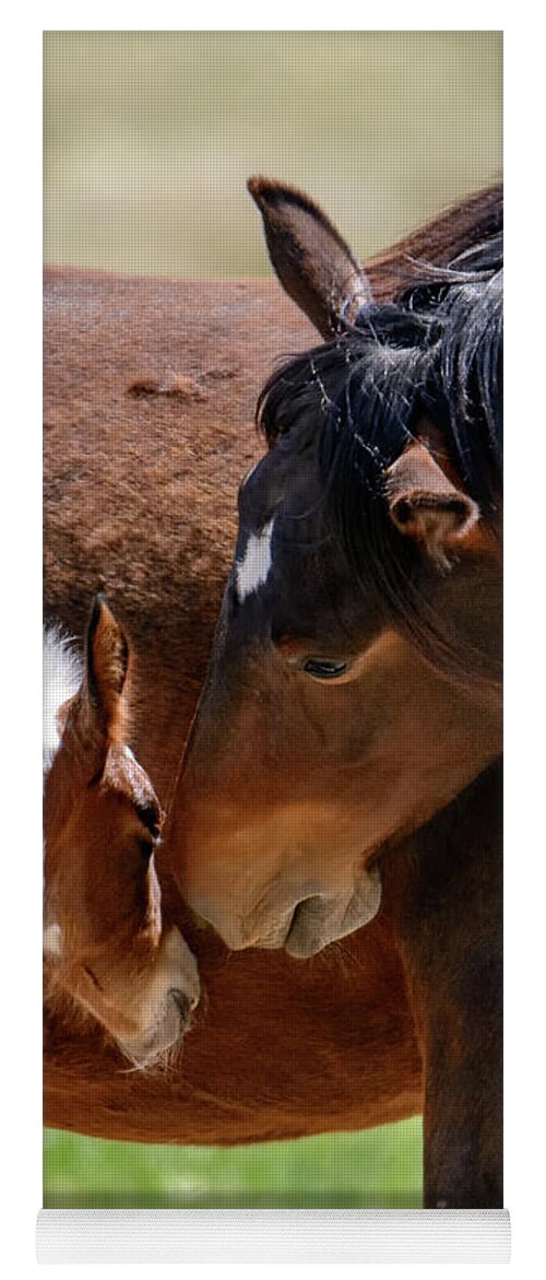Horses Yoga Mat featuring the photograph My Little one by Mary Hone