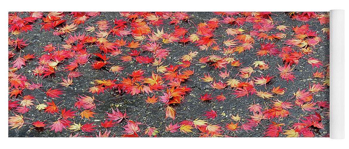 Autumn Yoga Mat featuring the photograph Nature's Confetti by Linda Stern