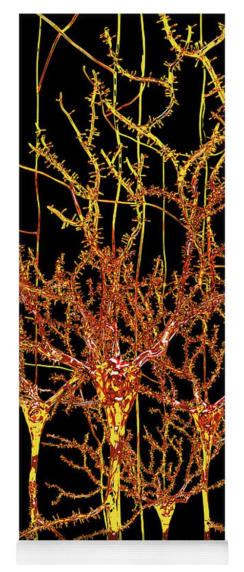 Gold Yoga Mat featuring the digital art Neuron Field Vector Golden Yellow by Russell Kightley