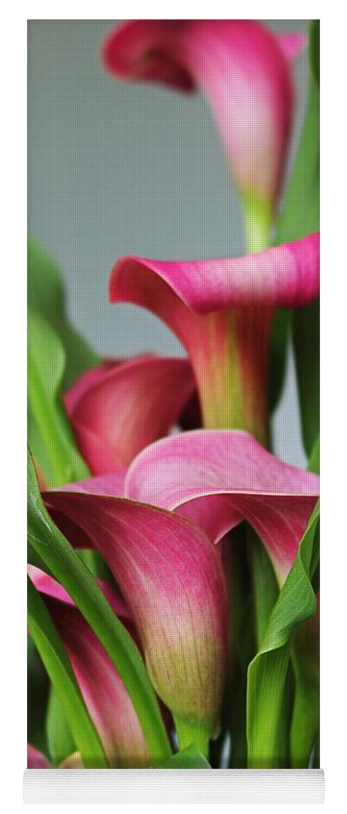 Calla Lily Yoga Mat featuring the photograph Night of the Flowers by Michiale Schneider