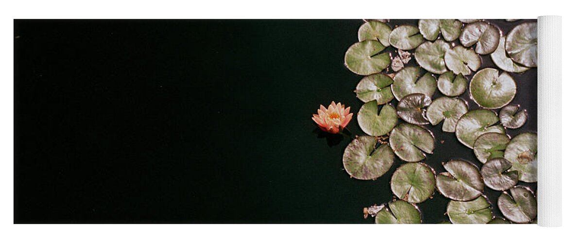 Pond Yoga Mat featuring the photograph No Mud No Lotus by Ana V Ramirez