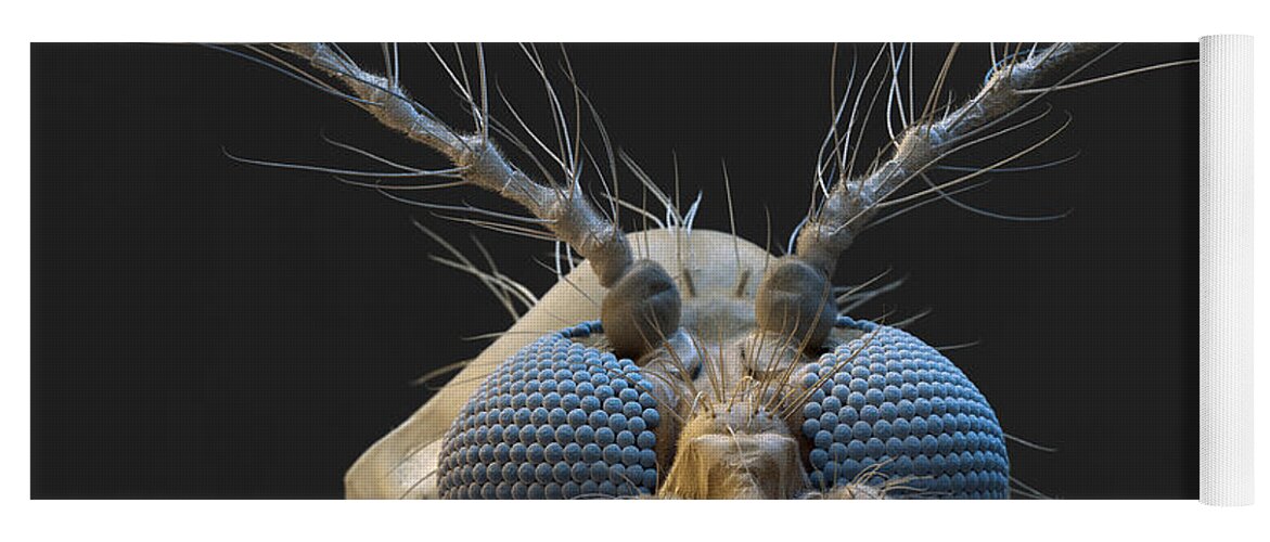 Animal Yoga Mat featuring the photograph Nonbiting Midge, Chironomidae Sp., Sem by Meckes/ottawa
