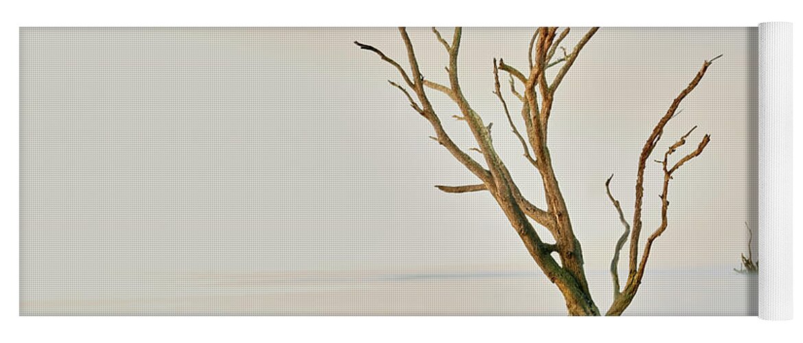 Nature Yoga Mat featuring the photograph Oak in the Ocean by Jon Glaser