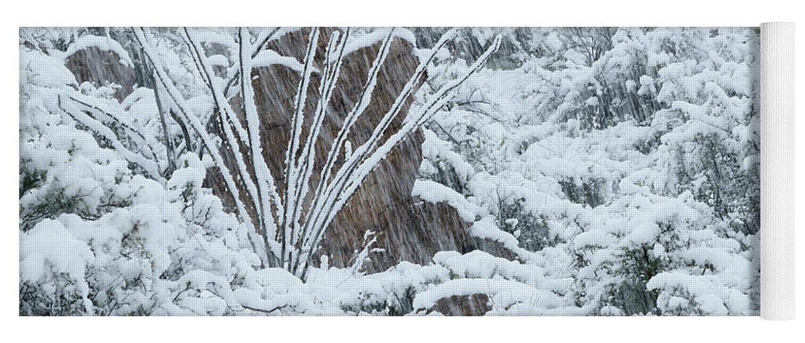Landscape Yoga Mat featuring the photograph Ocotillo in Snowstorm by James Covello