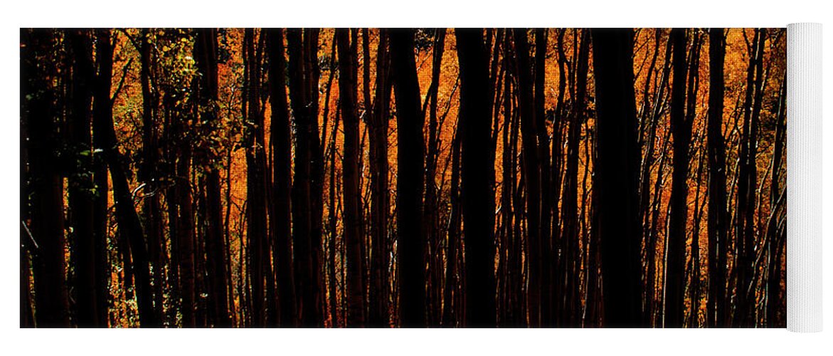 Darkness Yoga Mat featuring the photograph October Forest by Julia McHugh