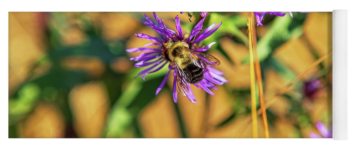 Bee Yoga Mat featuring the photograph October Pollination by Eunice Gibb