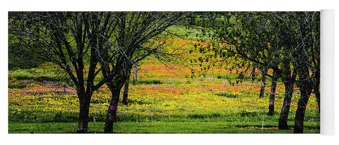 Texas Bluebonnets Yoga Mat featuring the photograph Orchard of Colors by Johnny Boyd