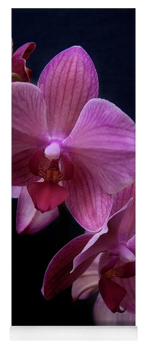 Floral Yoga Mat featuring the photograph Orchid 10 by Rosette Doyle