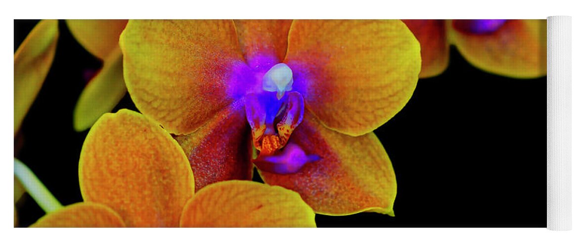 Orchid Yoga Mat featuring the photograph Orchid Study Ten by Meta Gatschenberger