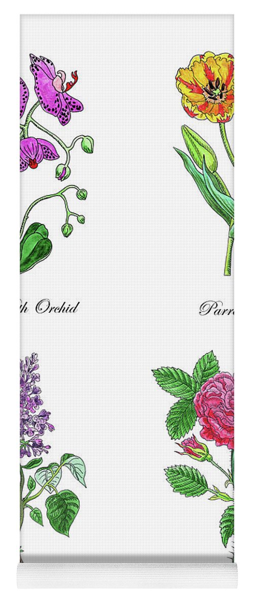 Orchid Yoga Mat featuring the painting Orchid Tulip Lilac Rose Botanical Watercolor  by Irina Sztukowski