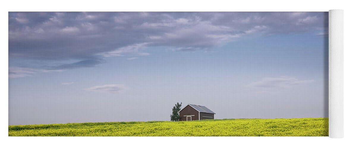 Canola Yoga Mat featuring the photograph Outstanding In Its Field by Dan Jurak