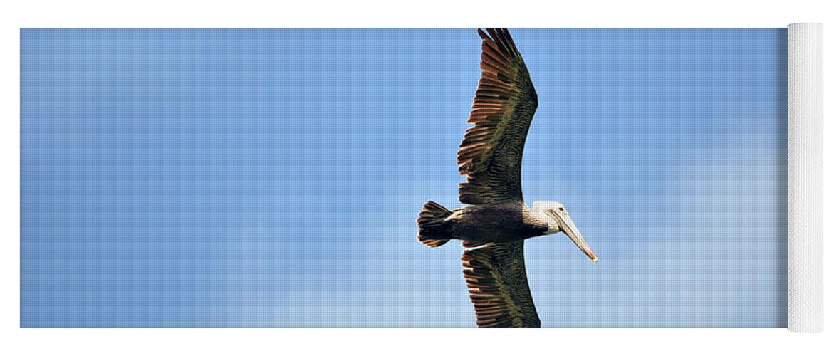 Brown Pelican Yoga Mat featuring the photograph Overflight by Climate Change VI - Sales