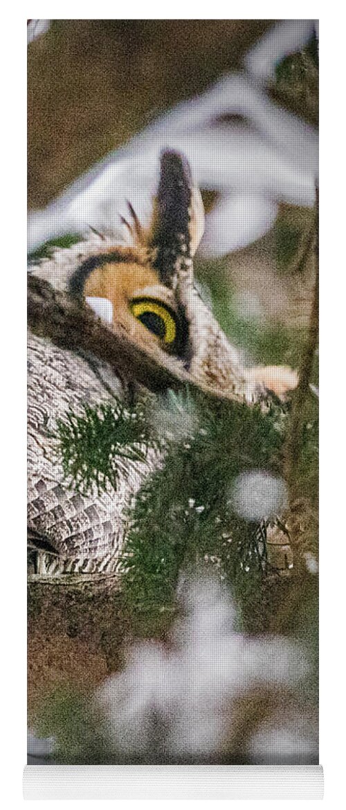 Owl Yoga Mat featuring the photograph Owl's Eye by Ira Marcus