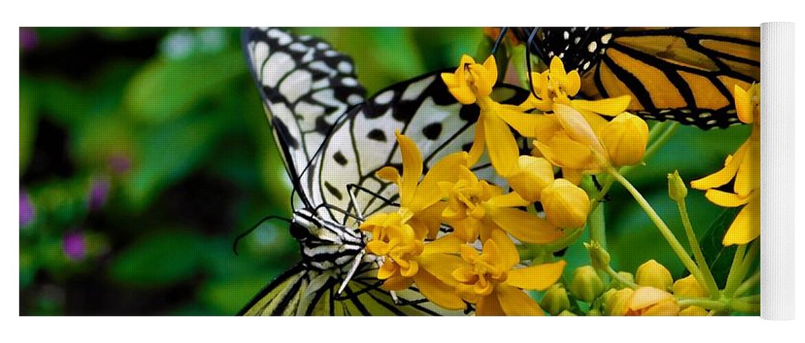 - Paper Kite And Monarch Butterfly Yoga Mat featuring the photograph - Paper Kite and Monarch Butterfly by THERESA Nye