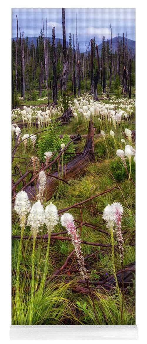 Flowers Yoga Mat featuring the photograph PCT Bear Grass by Cat Connor