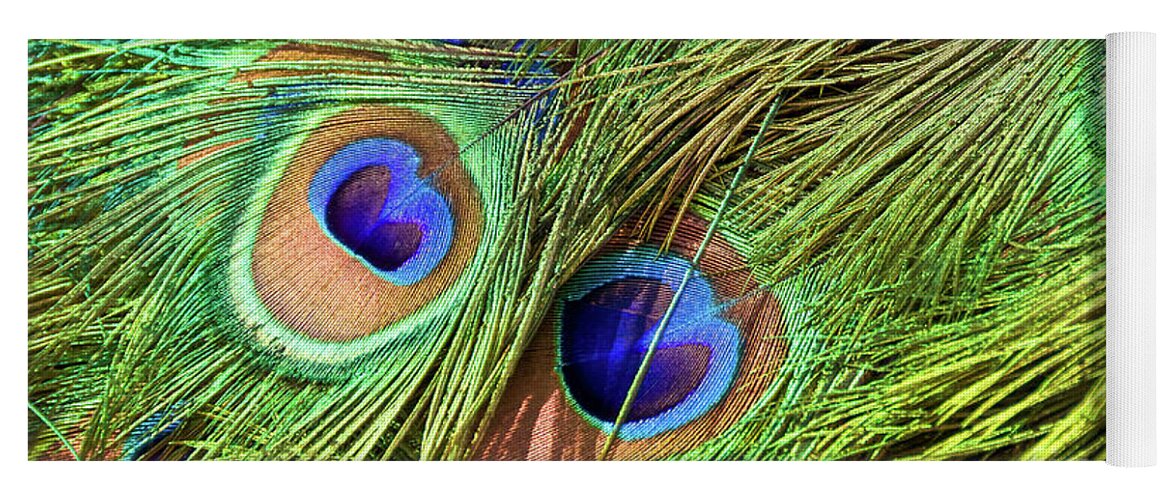 Peacock Yoga Mat featuring the photograph Peacock feathers by Delphimages Photo Creations