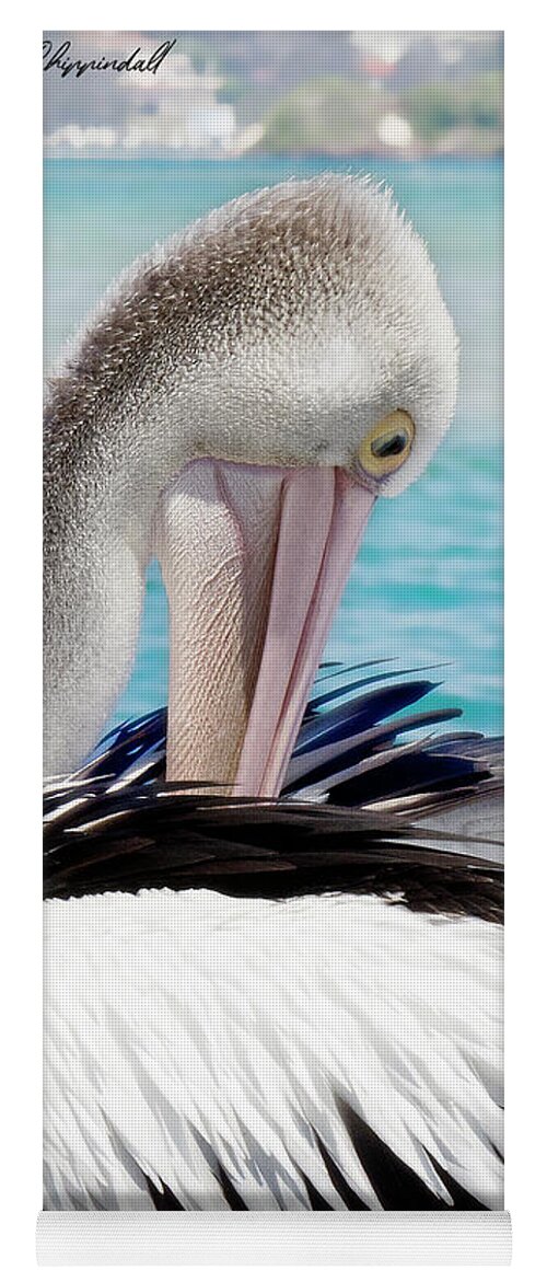Pelicans Yoga Mat featuring the digital art Pelican beauty 99920 by Kevin Chippindall