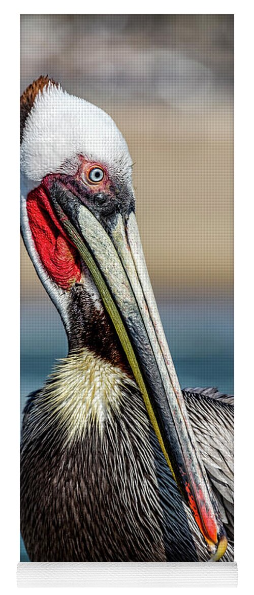Pelican Yoga Mat featuring the photograph Pelican Pose by Kelley King
