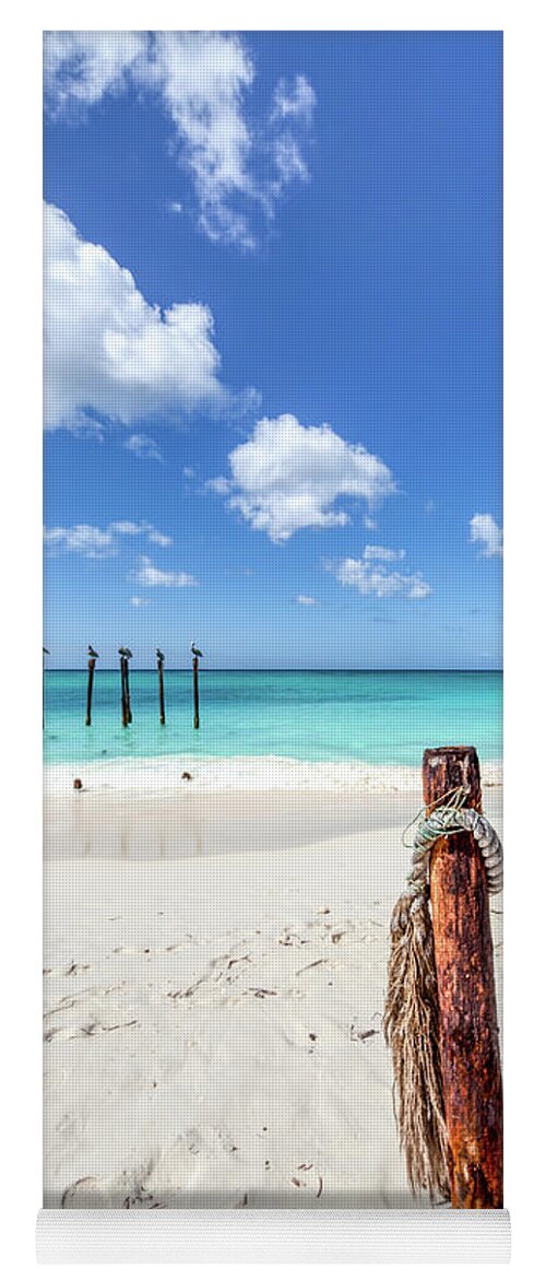 Aruba Yoga Mat featuring the photograph Pelicans Perch by David Letts