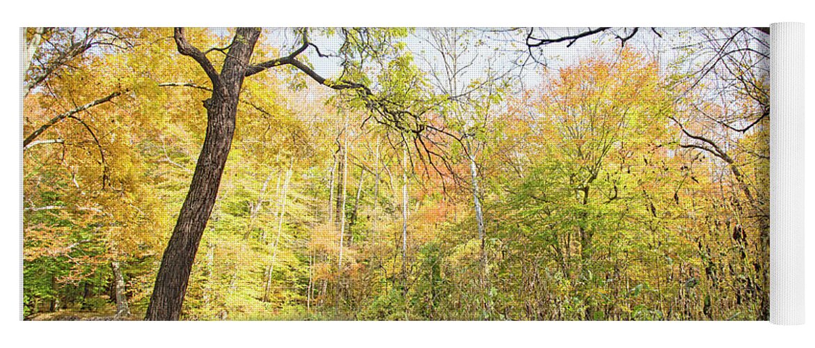 Philadelphia Yoga Mat featuring the photograph Pennypack Woods, Philadelphia Landmark, Autumn by A Macarthur Gurmankin