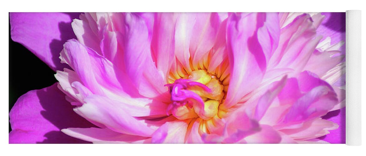 Peony Yoga Mat featuring the photograph Peony Flower by Christina Rollo