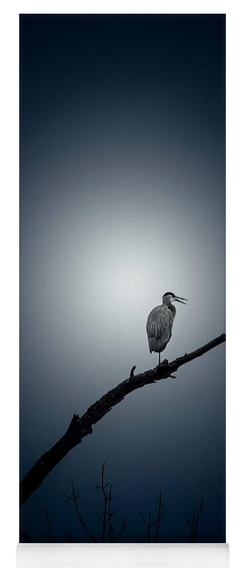 Blue Heron Yoga Mat featuring the photograph Perched by Phil S Addis