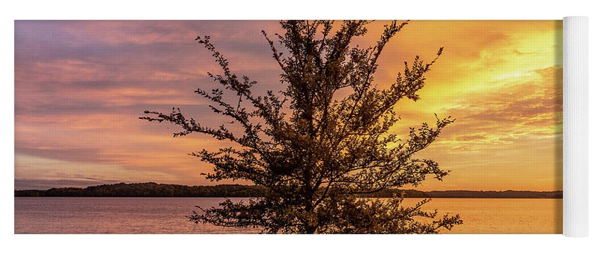 Percy Priest Lake Yoga Mat featuring the photograph Percy Priest Lake Sunset Young Tree by D K Wall