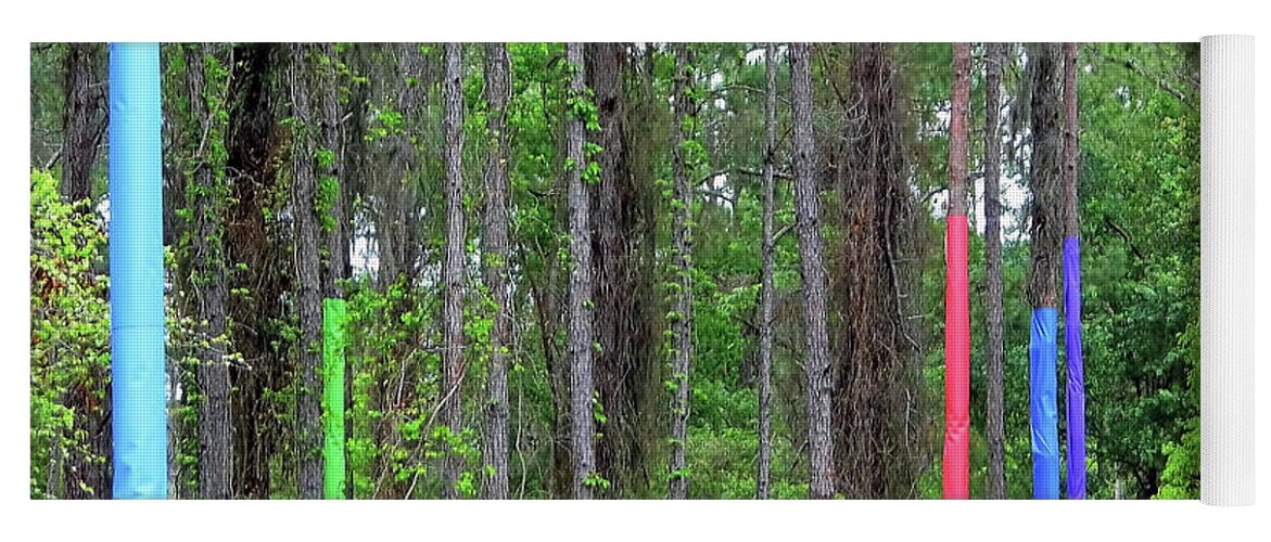 Pine Trees Yoga Mat featuring the photograph Pine Trees Wrapped In Color by D Hackett