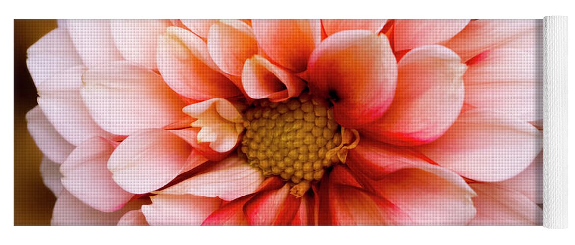 Outdoors Yoga Mat featuring the photograph Pink dahlia by Silvia Marcoschamer