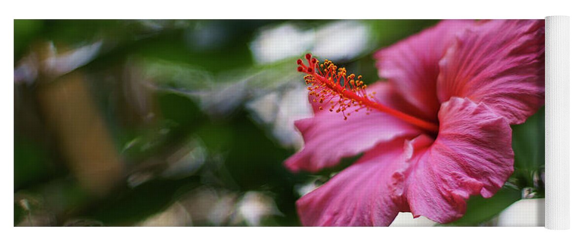 Beautiful Yoga Mat featuring the photograph Pink Hibiscus Flower by Pablo Avanzini