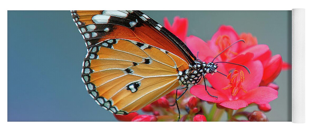 Bangkok Yoga Mat featuring the photograph Plain Tiger or African Monarch Butterfly DTHN0246 by Gerry Gantt