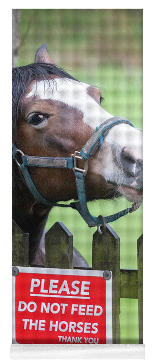 Horse Yoga Mat featuring the photograph Please can I have an apple - horse - please do not feed the horses by Anita Nicholson