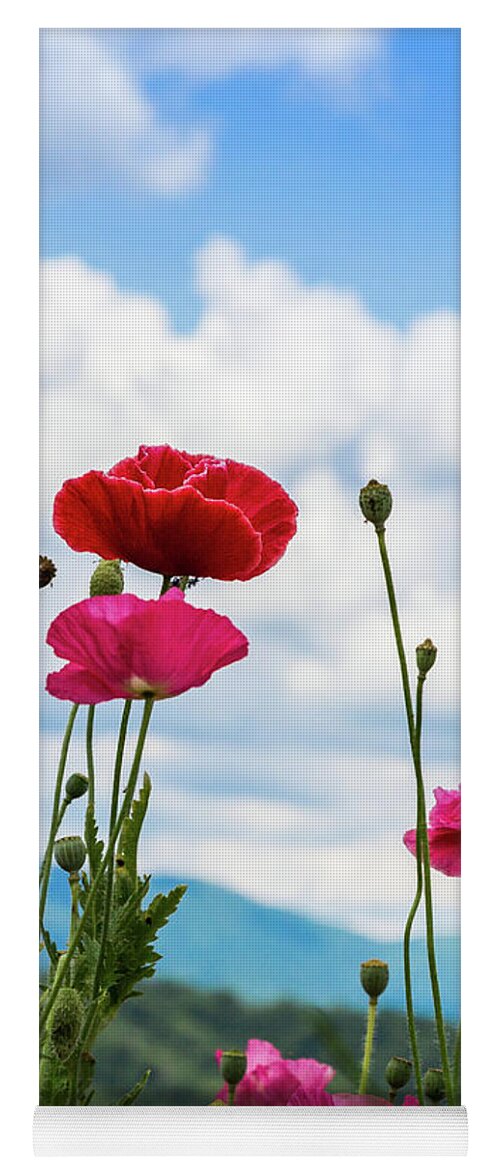 Poppies Yoga Mat featuring the photograph Poppies in the Sky by Lisa Lemmons-Powers