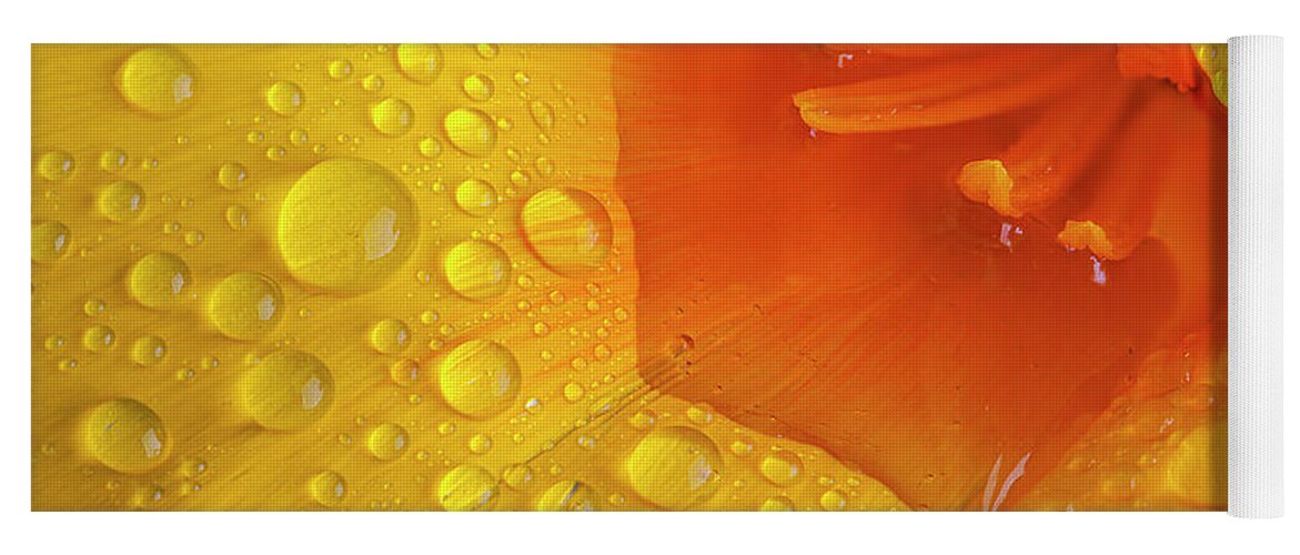 Flower Yoga Mat featuring the photograph Poppy flower macro with water droplets by Simon Bratt