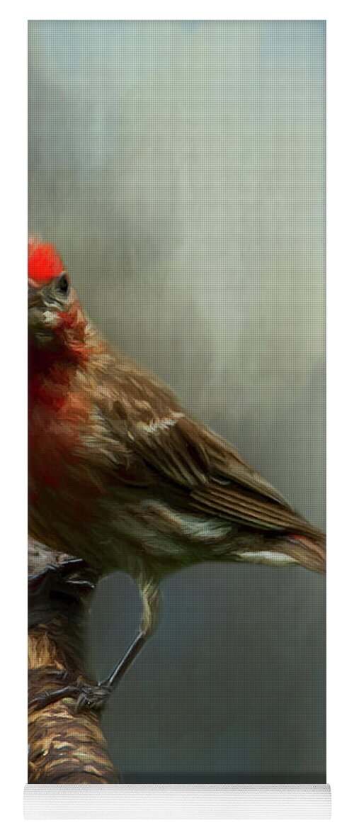 Avian Yoga Mat featuring the photograph Portrait of a House Finch by Cathy Kovarik